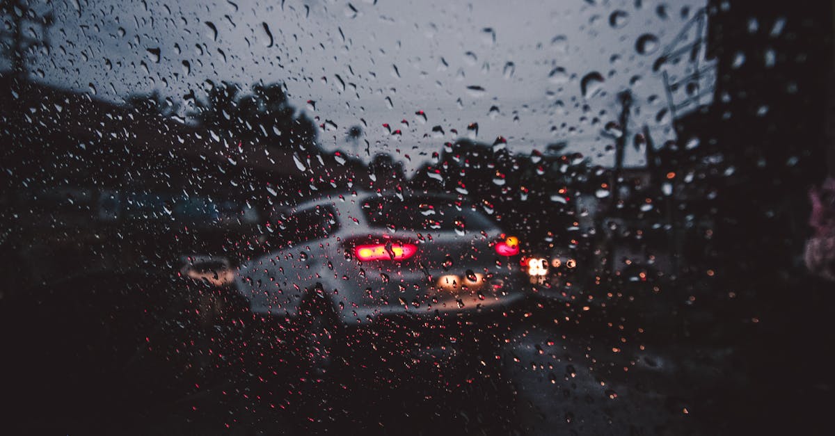 Customer Service Standards to Expect from Auto Glass Replacement Providers