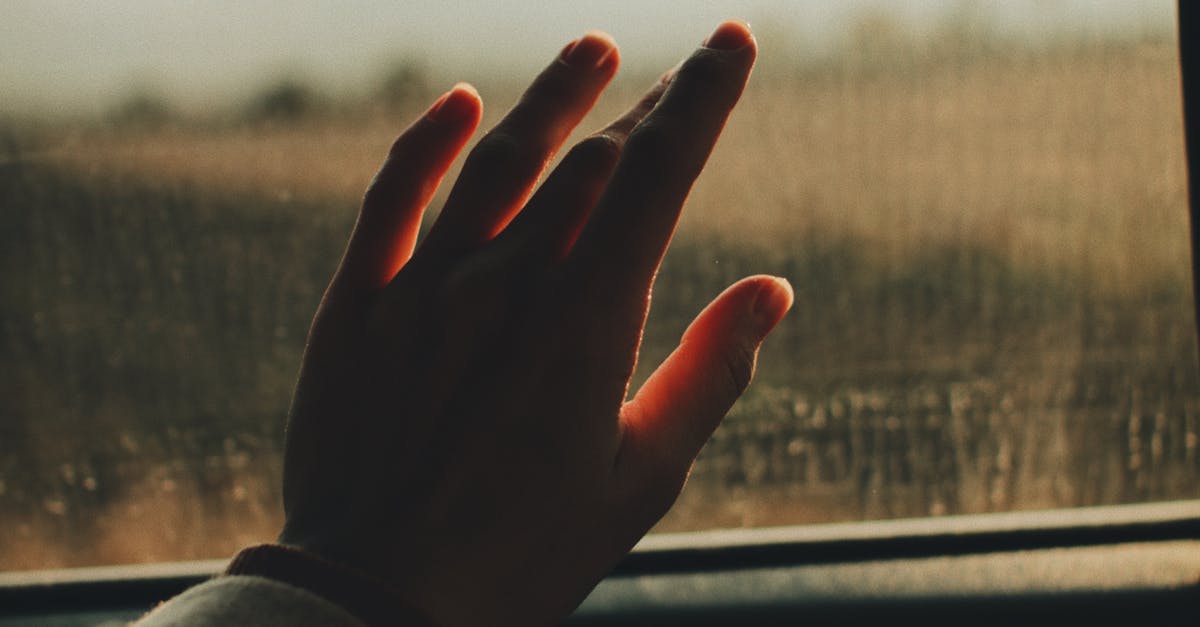 How to Choose the Right Rear Window Glass for Your Vehicle