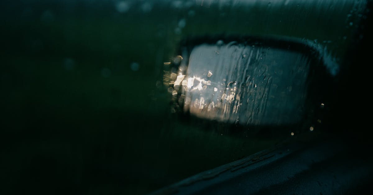 The Role of Star Ratings in Choosing Auto Glass Services