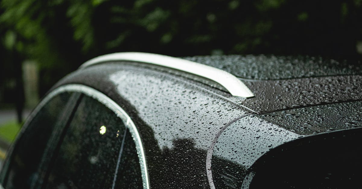 Top Questions to Ask About Customer Service at Auto Glass Shops